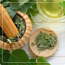 Extracto Seco de Abedul