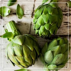 Extracto Seco Alcachofera