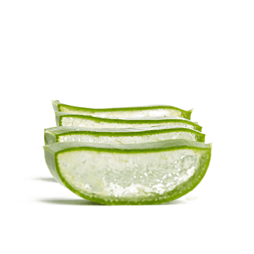 Aloe vera ecológico