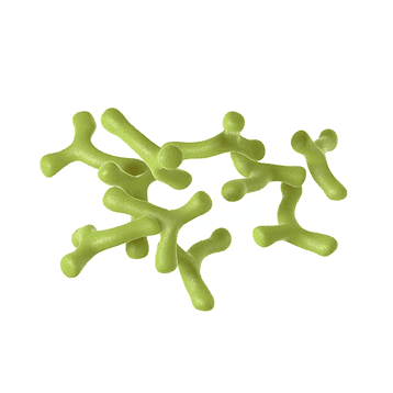 Bifidobacterium longum