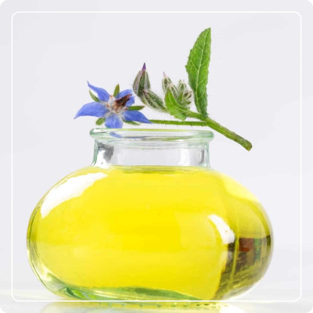 Ácido Hialurónico y Aceite de Borraja