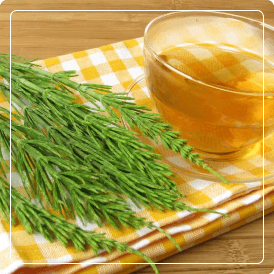 E.S. Cola de Caballo