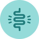 Ayuda a aliviar la sensación de digestión pesada y acompaña el bienestar gastrointestinal.