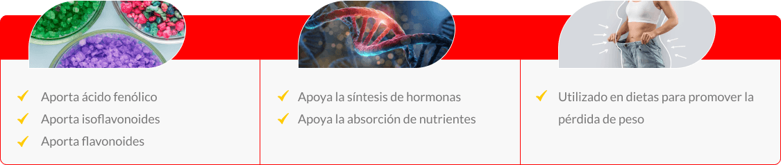 proteinas