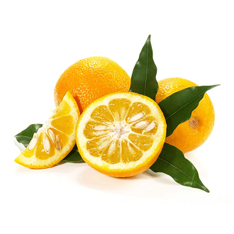 Extracto de Naranja Amarga