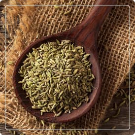 Extracto Seco de Hinojo