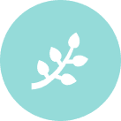 Fitoterapia inmunomoduladora y antiinflamatoria