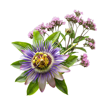 Valeriana, Pasiflora y Melisa