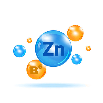 Zinc y Vitamina B6