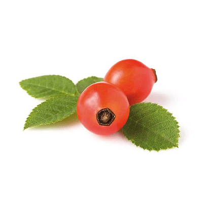 Escaramujo